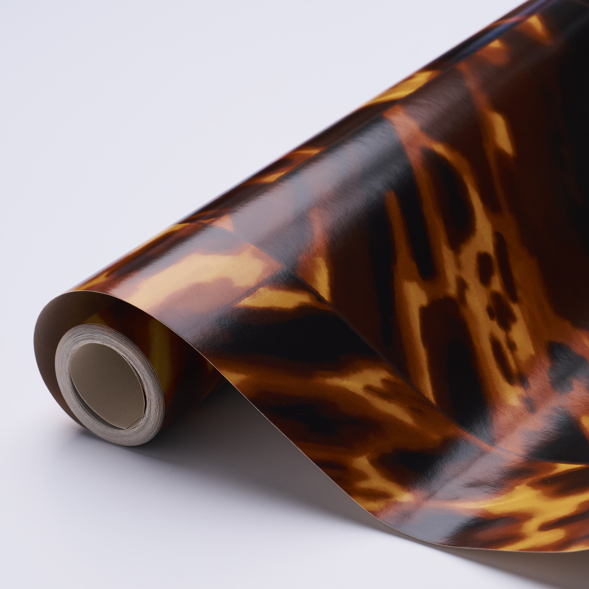 TORTOISE SHELL gallery 3