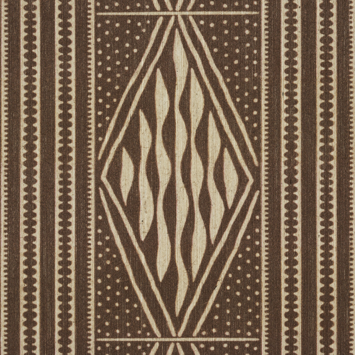CASSAVA gallery 3