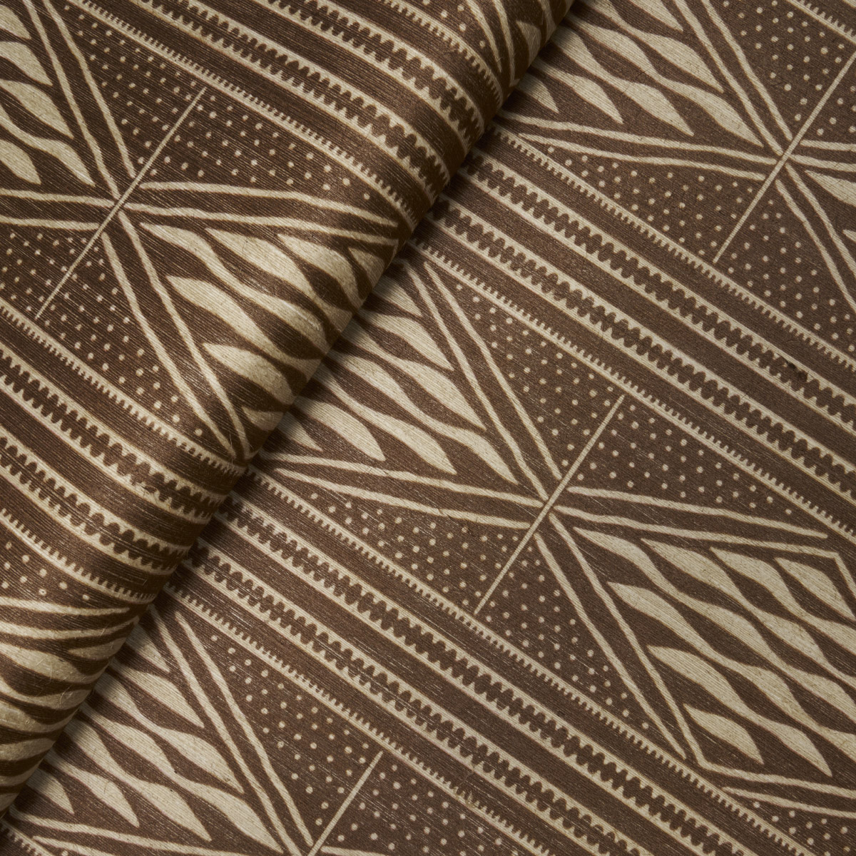 CASSAVA gallery 4
