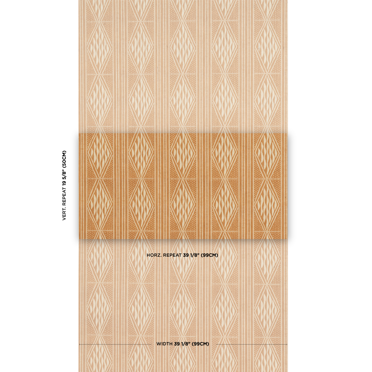 CASSAVA gallery 1