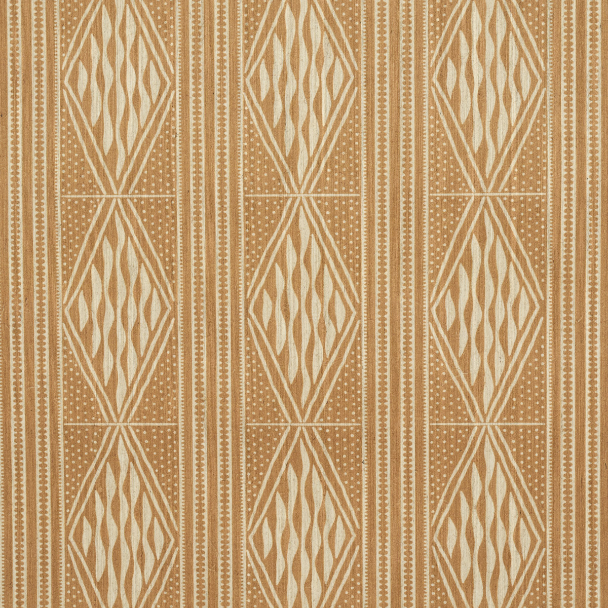 CASSAVA gallery 2