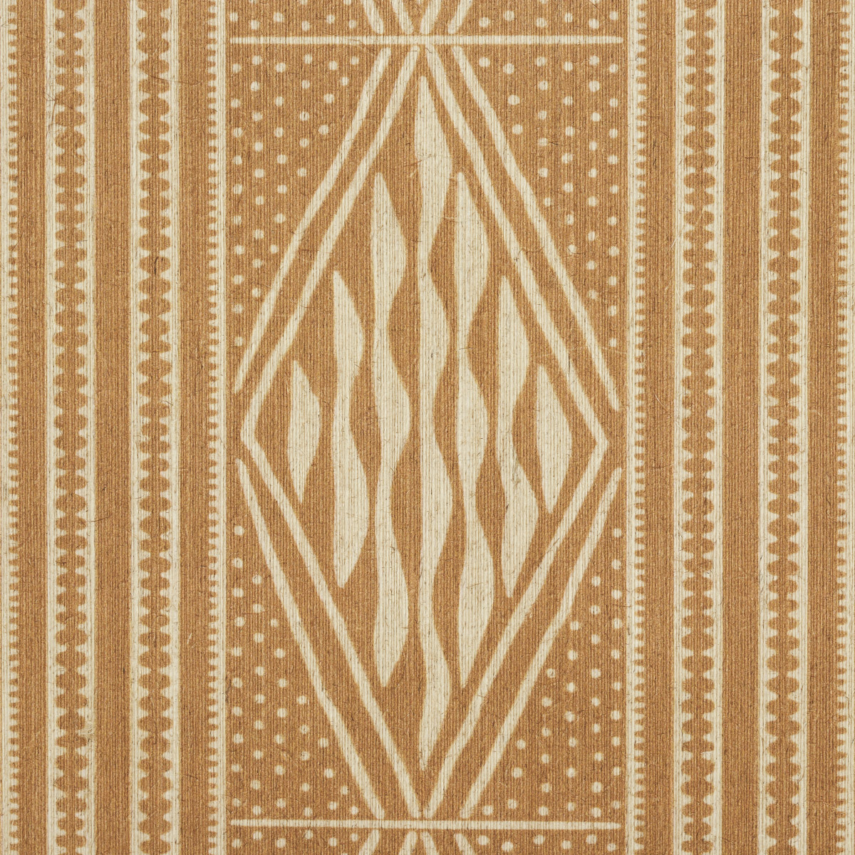 CASSAVA gallery 3