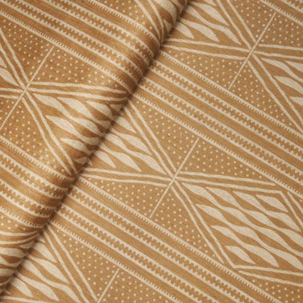 CASSAVA gallery 4