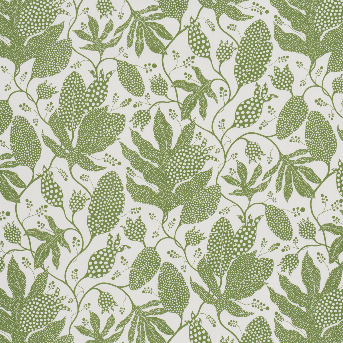 GREEN & IVORY