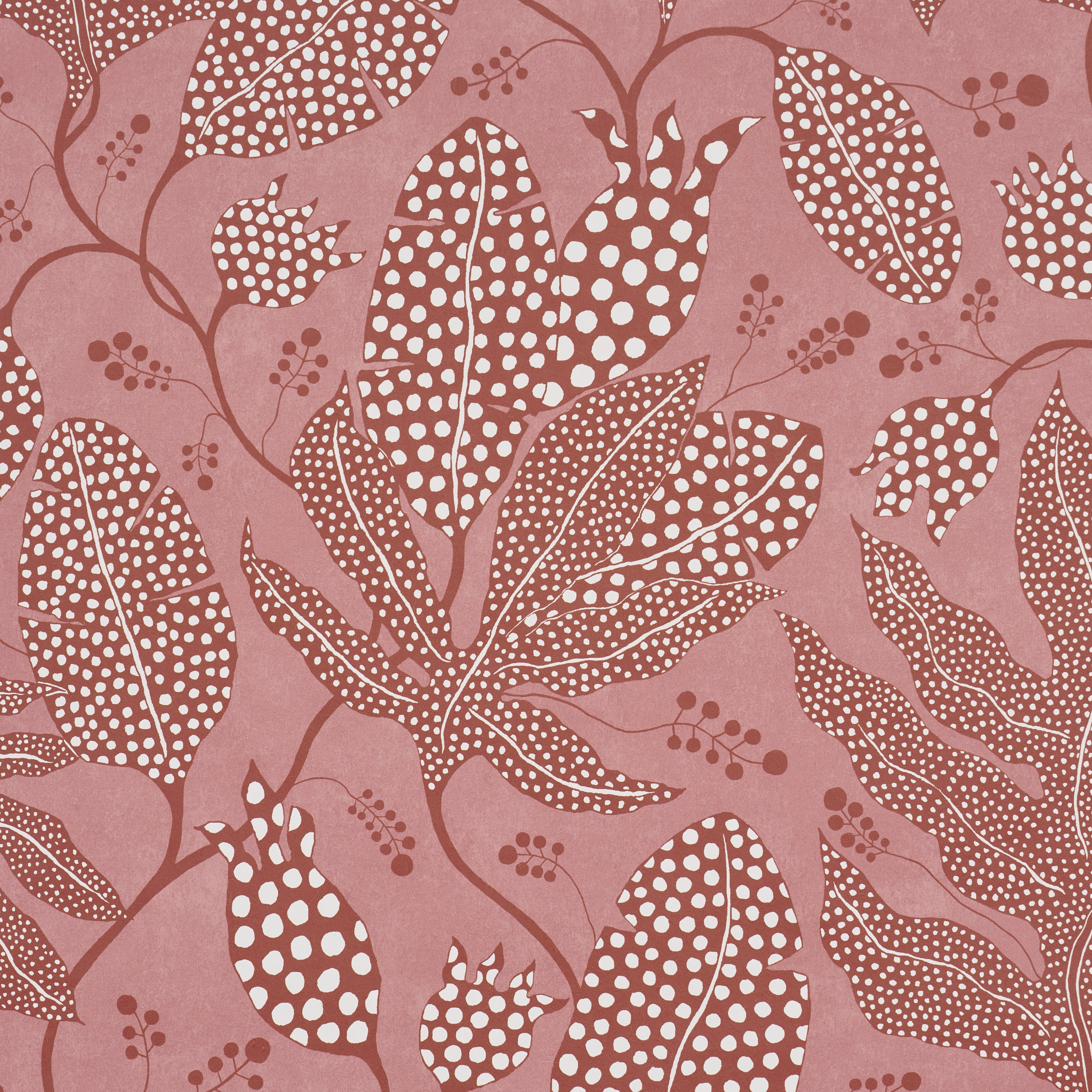 Polka Dot Jungle gallery 2