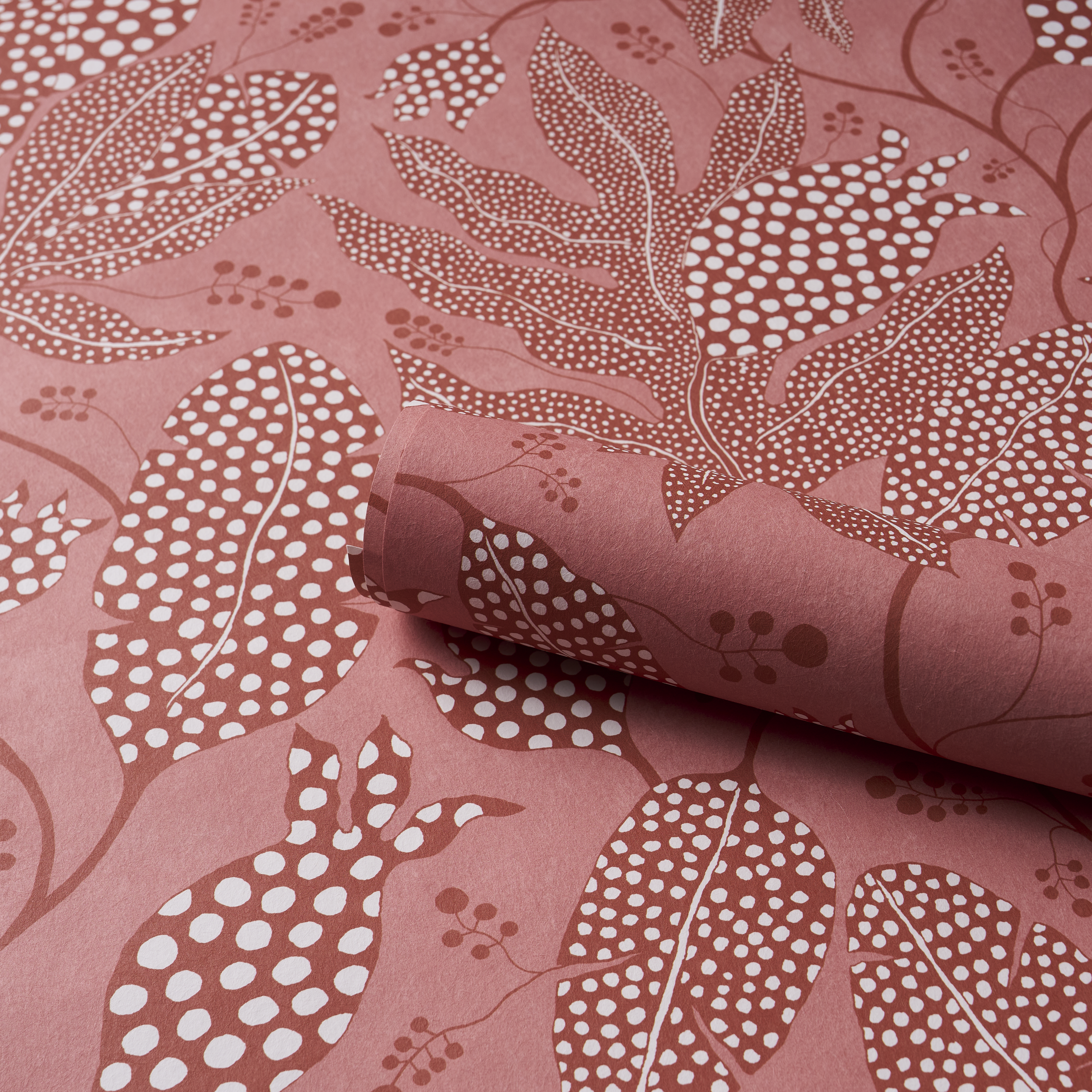 Polka Dot Jungle gallery 3
