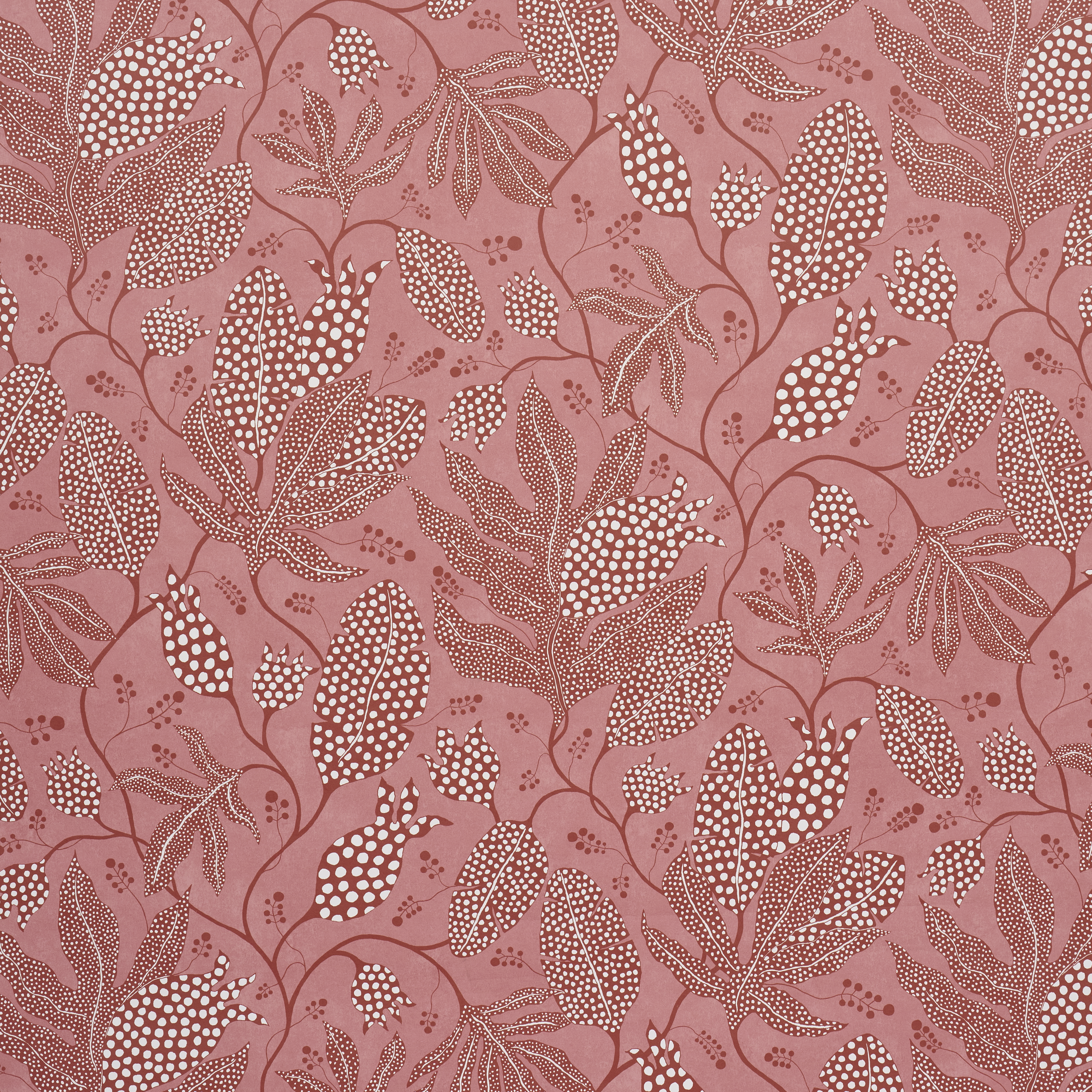 Polka Dot Jungle — RASPBERRY
