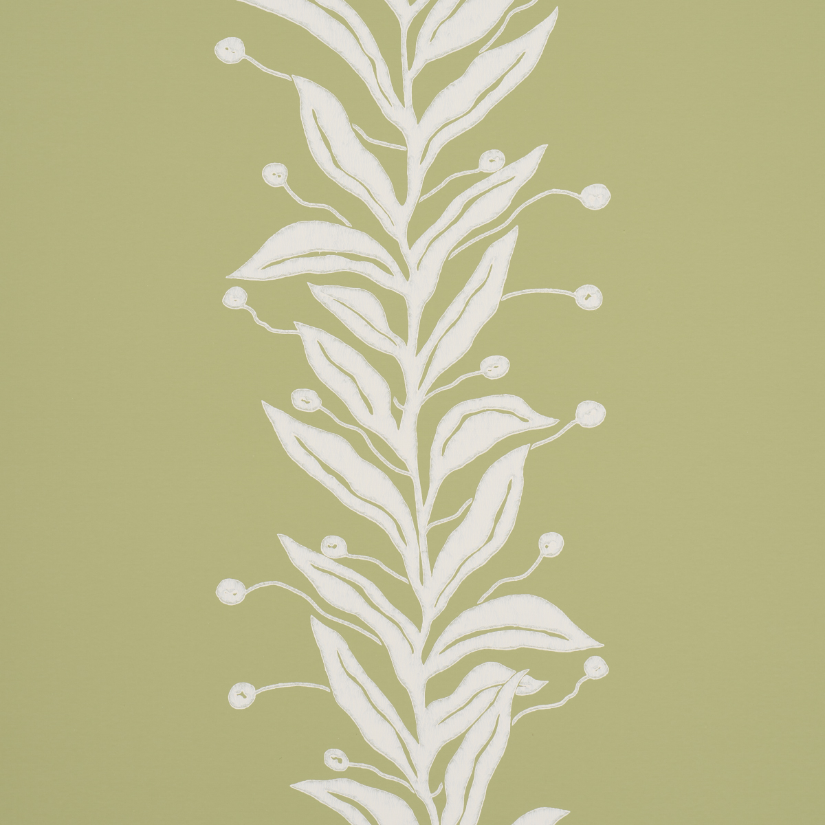 TENDRIL STRIPE gallery 2