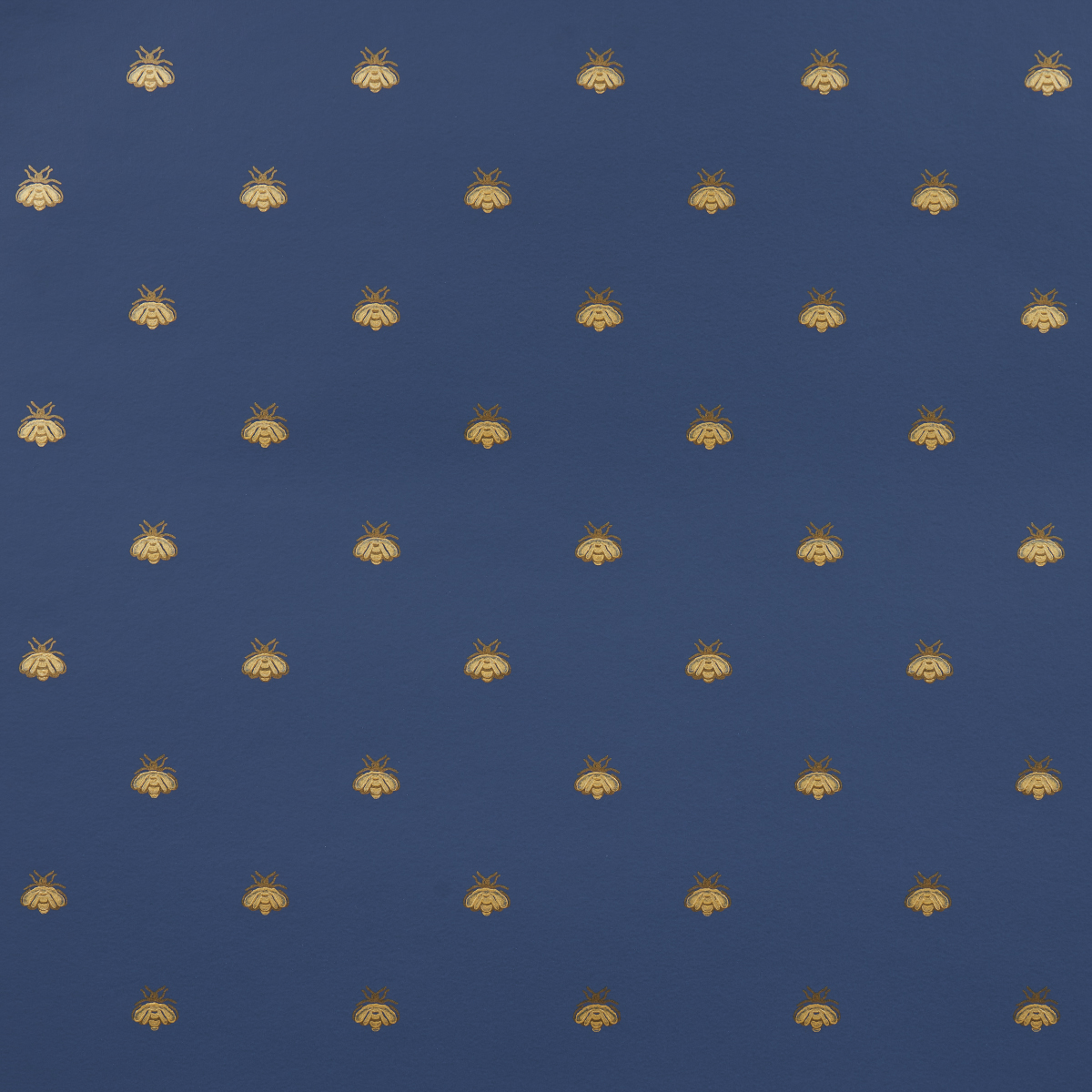 MIDNIGHT & GOLD
