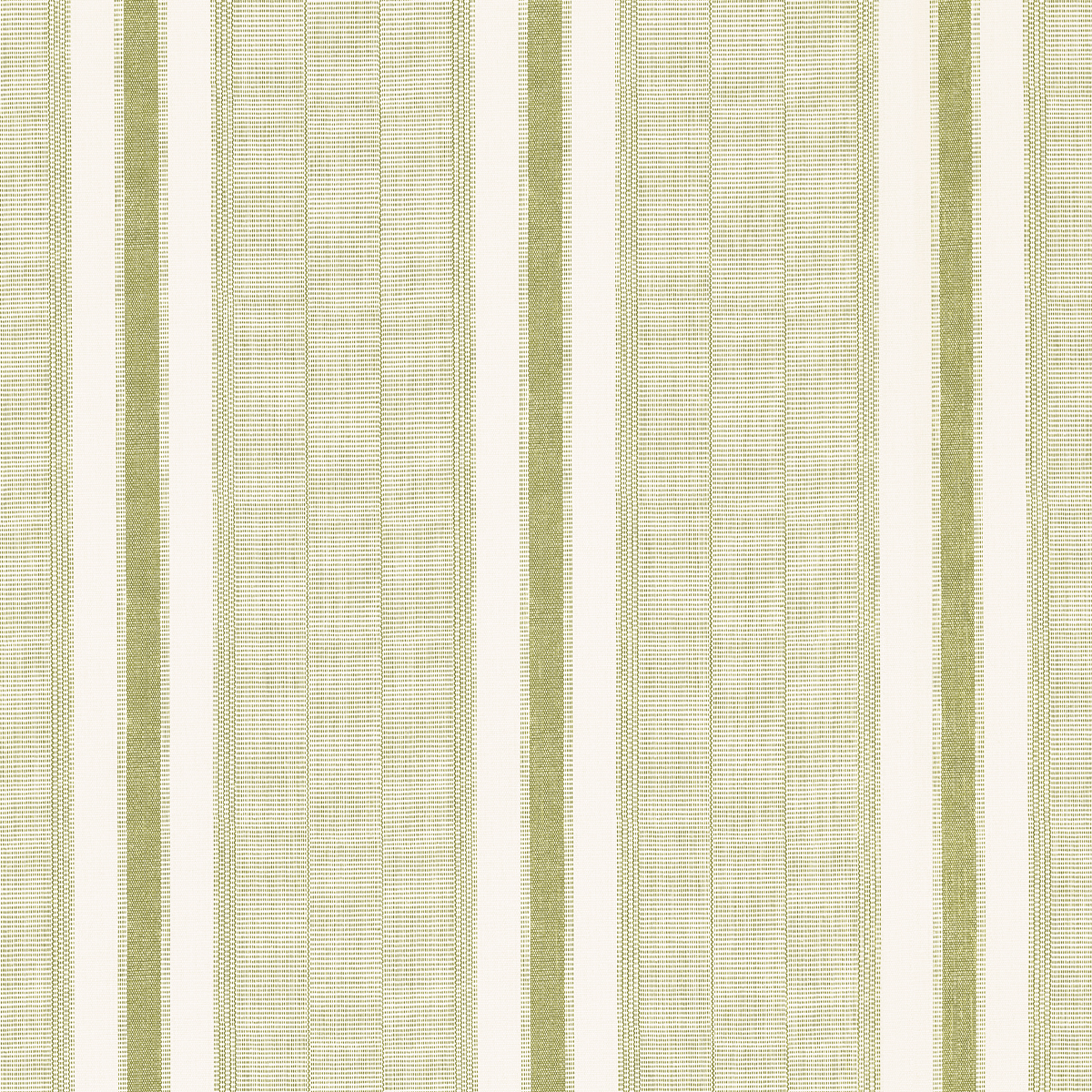 FERN