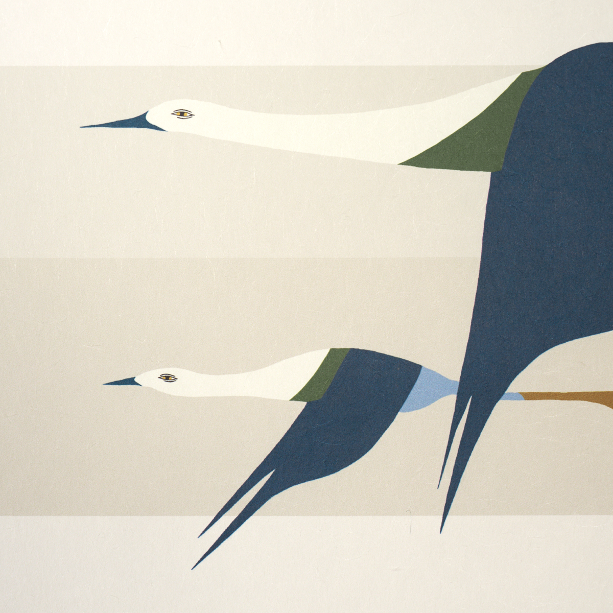 FLYING WEST gallery 2