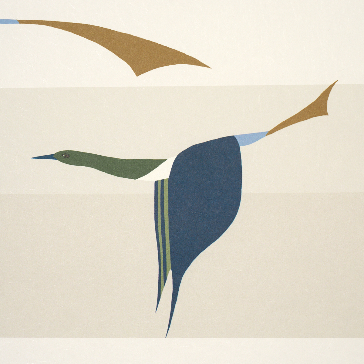 FLYING WEST gallery 4