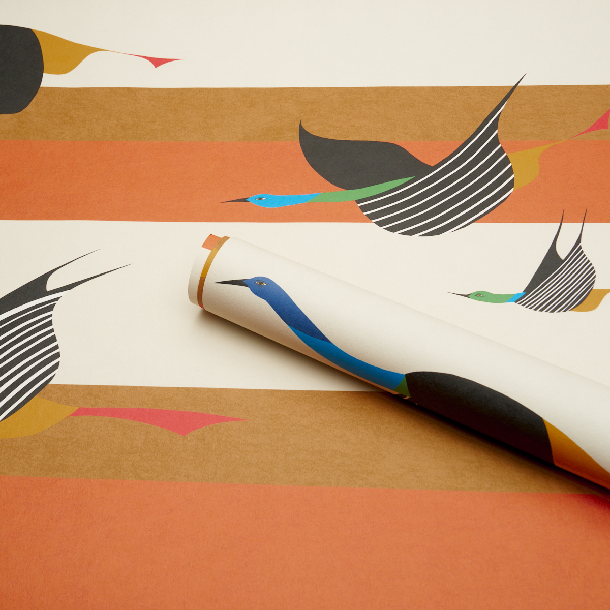 FLYING WEST gallery 5