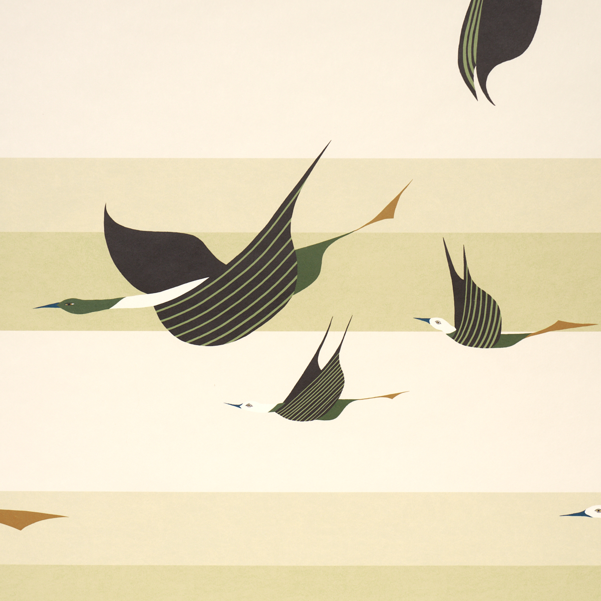 FLYING WEST gallery 2