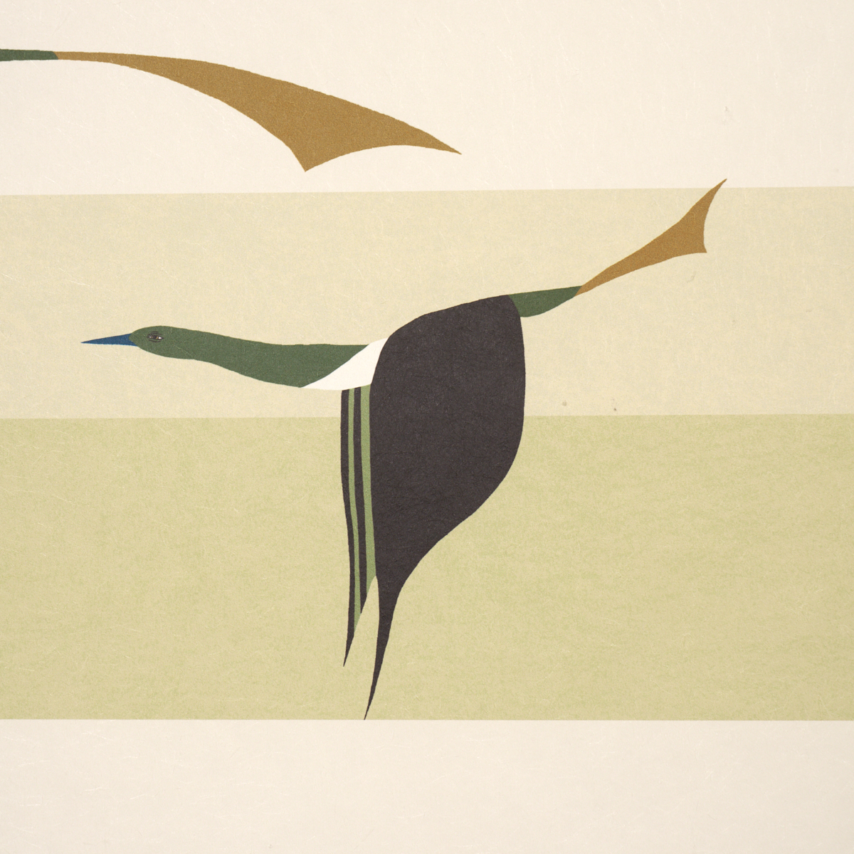 FLYING WEST gallery 3