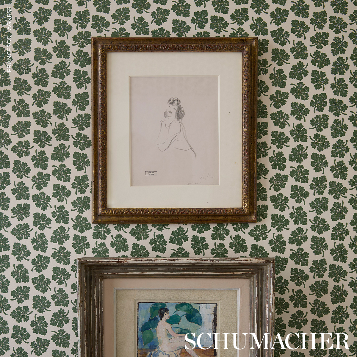 Olive gallery 5