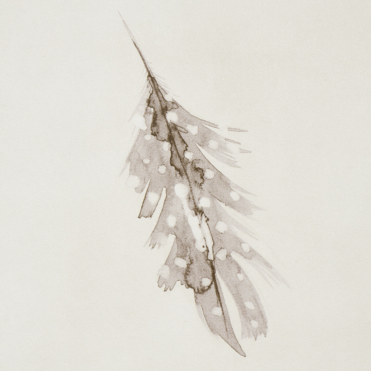 Woodland Feathers gallery 2