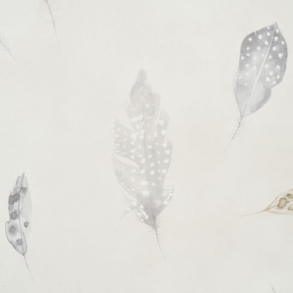 Woodland Feathers gallery 3