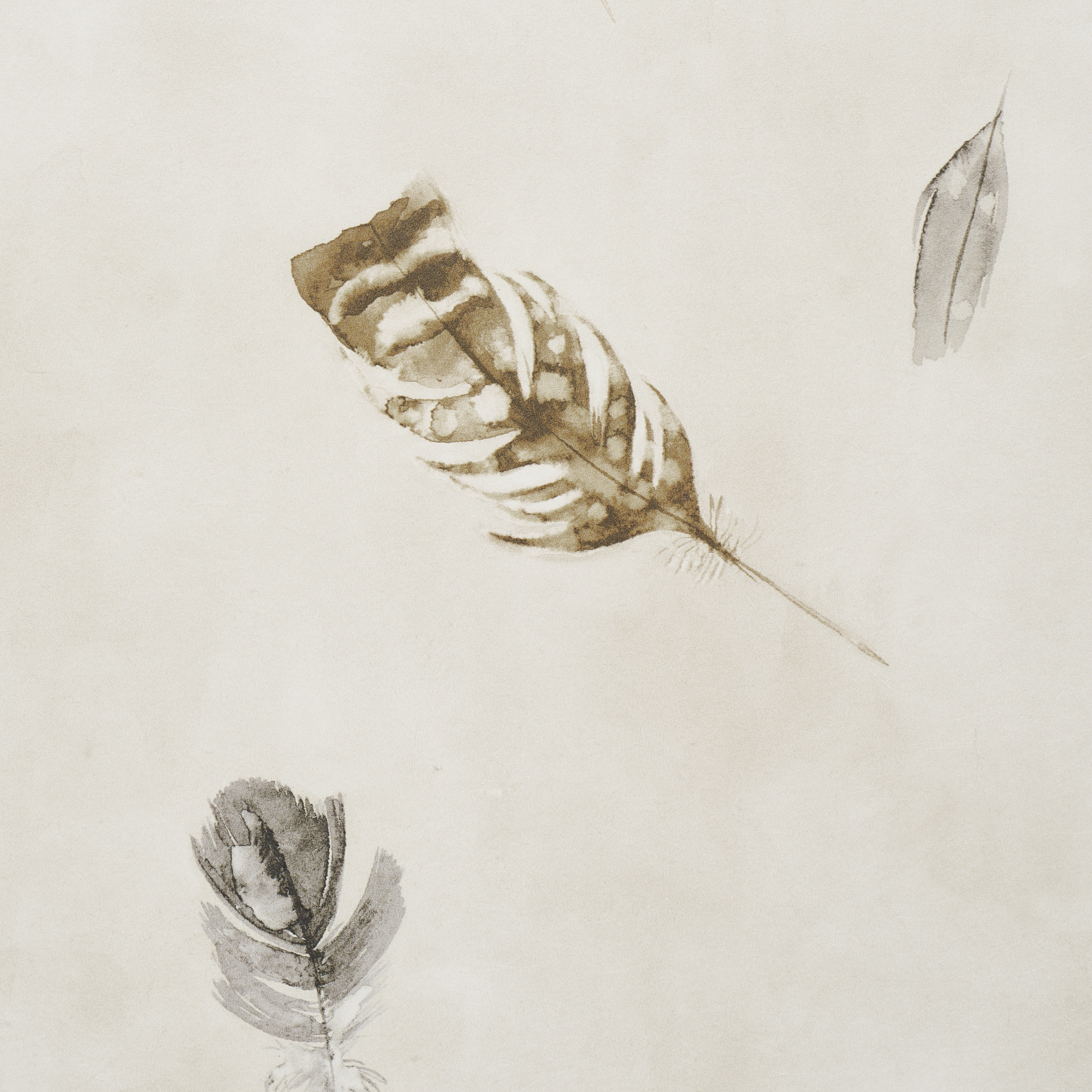 Woodland Feathers gallery 2
