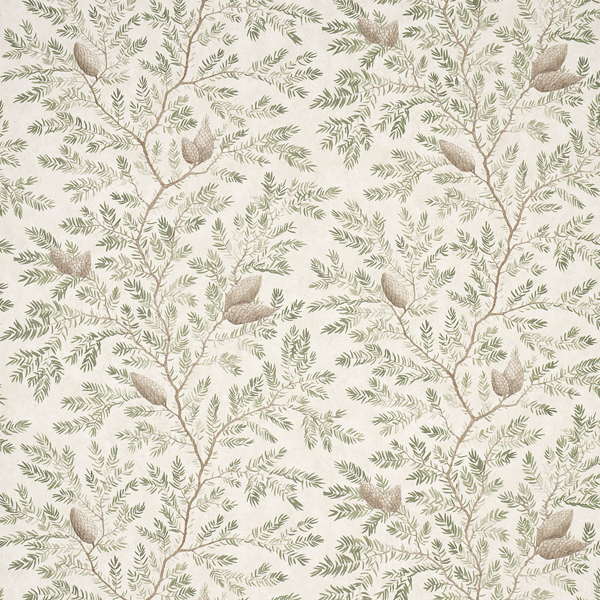 SPRUCE