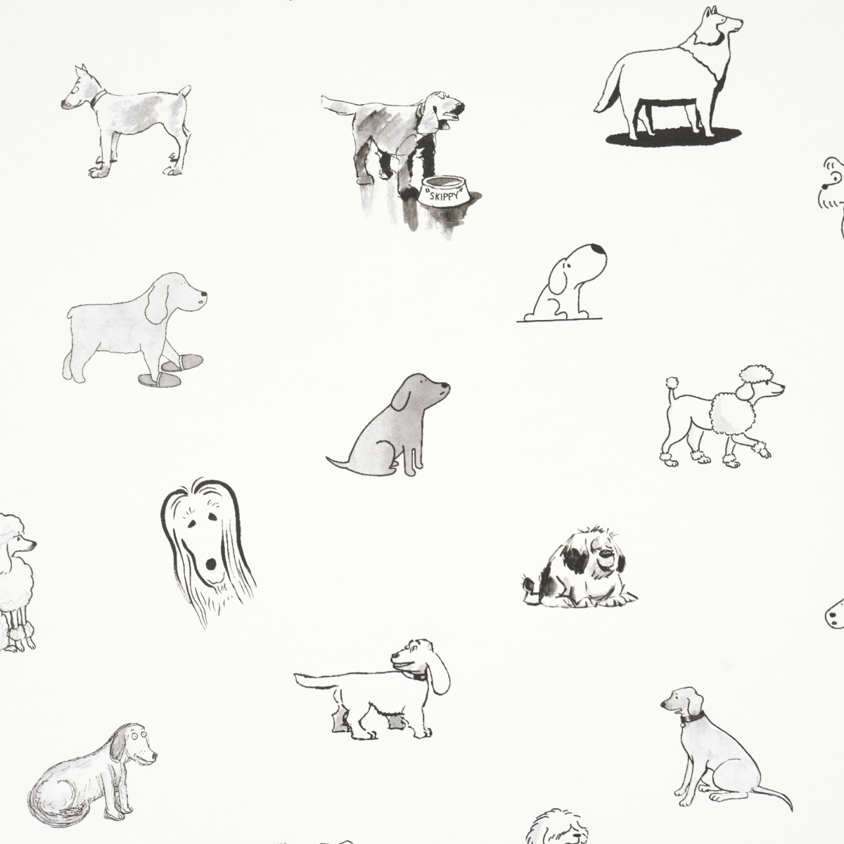 Good Dogs Everywhere gallery 2