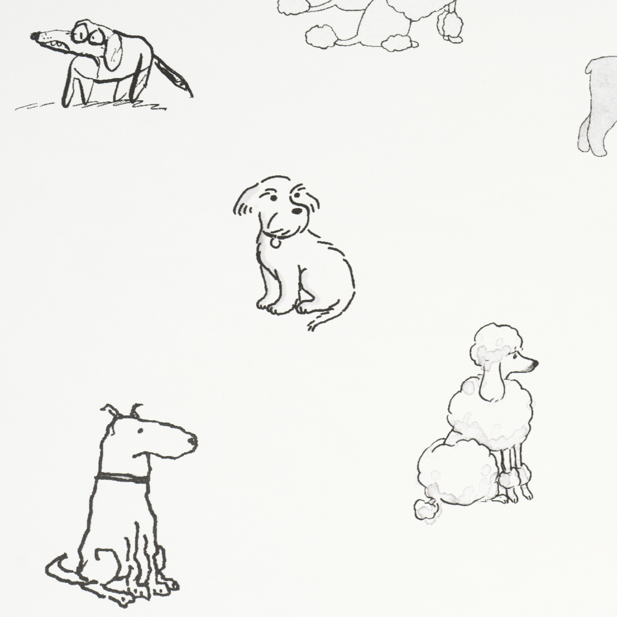 Good Dogs Everywhere gallery 3