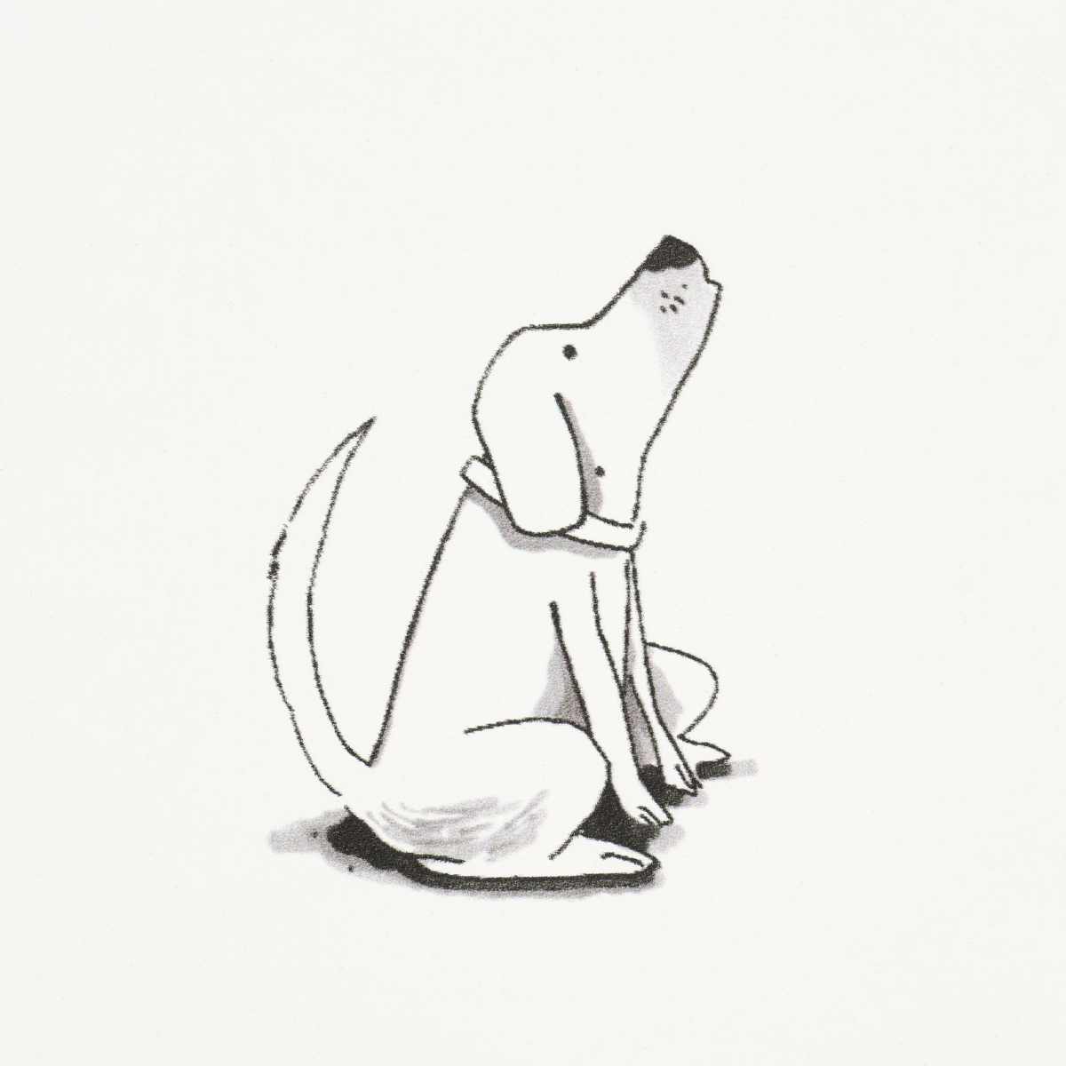 Good Dogs Everywhere gallery 4