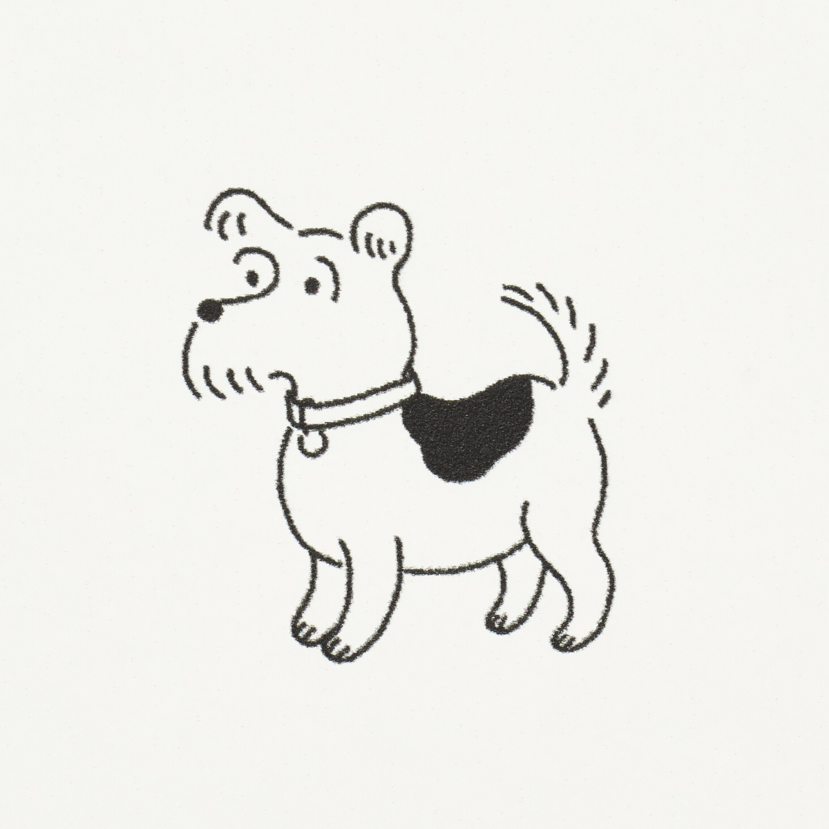 Good Dogs Everywhere gallery 5