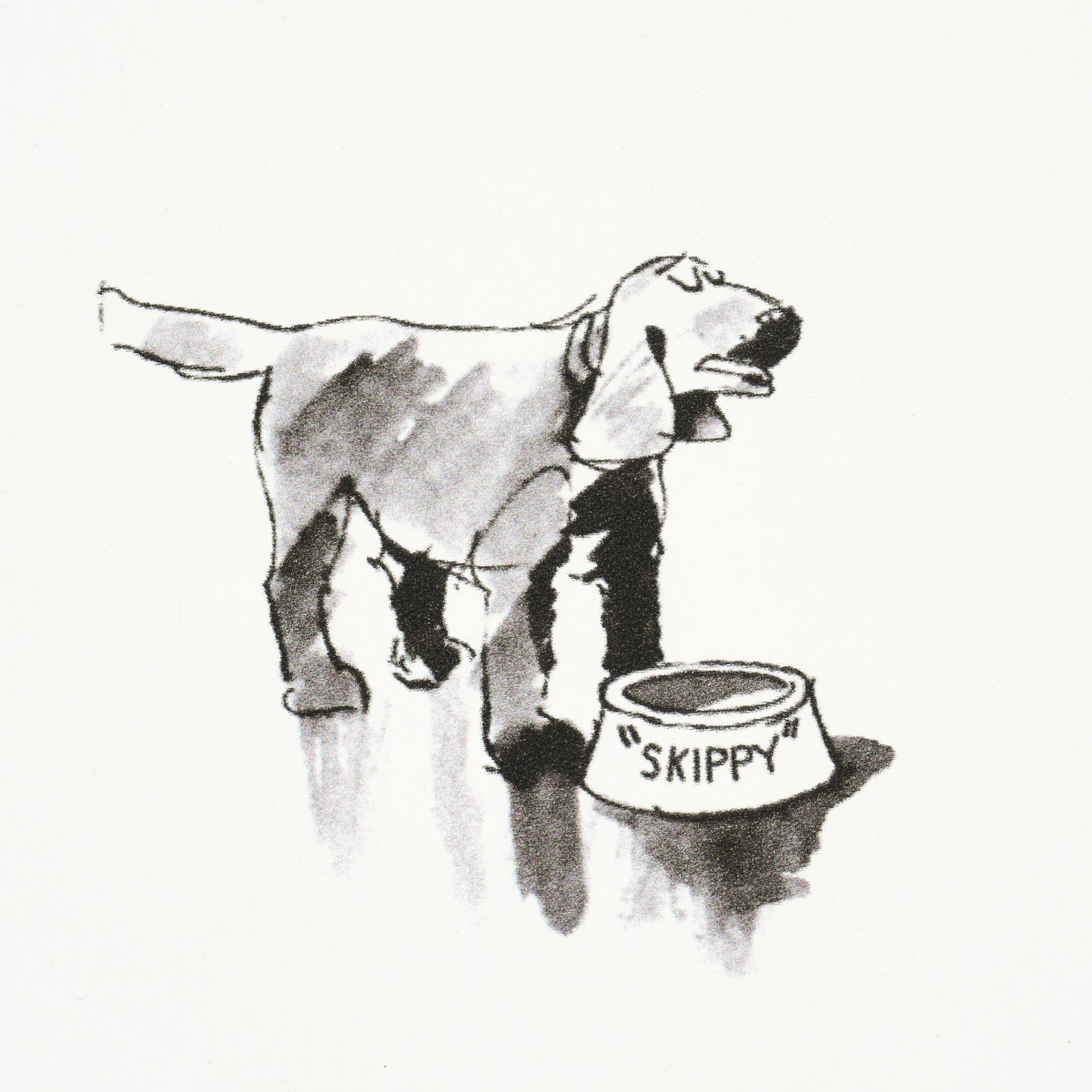 Good Dogs Everywhere gallery 6