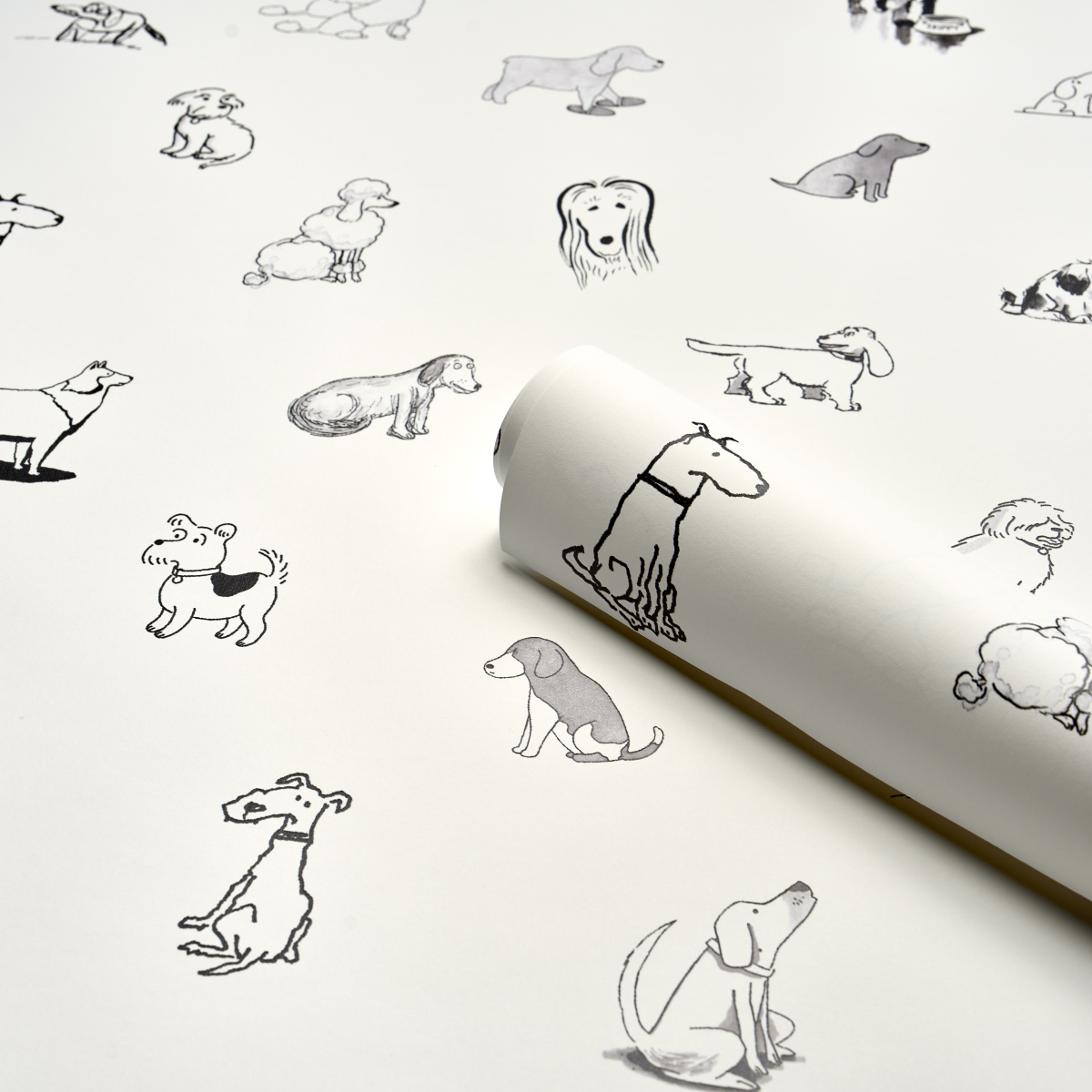 Good Dogs Everywhere gallery 7