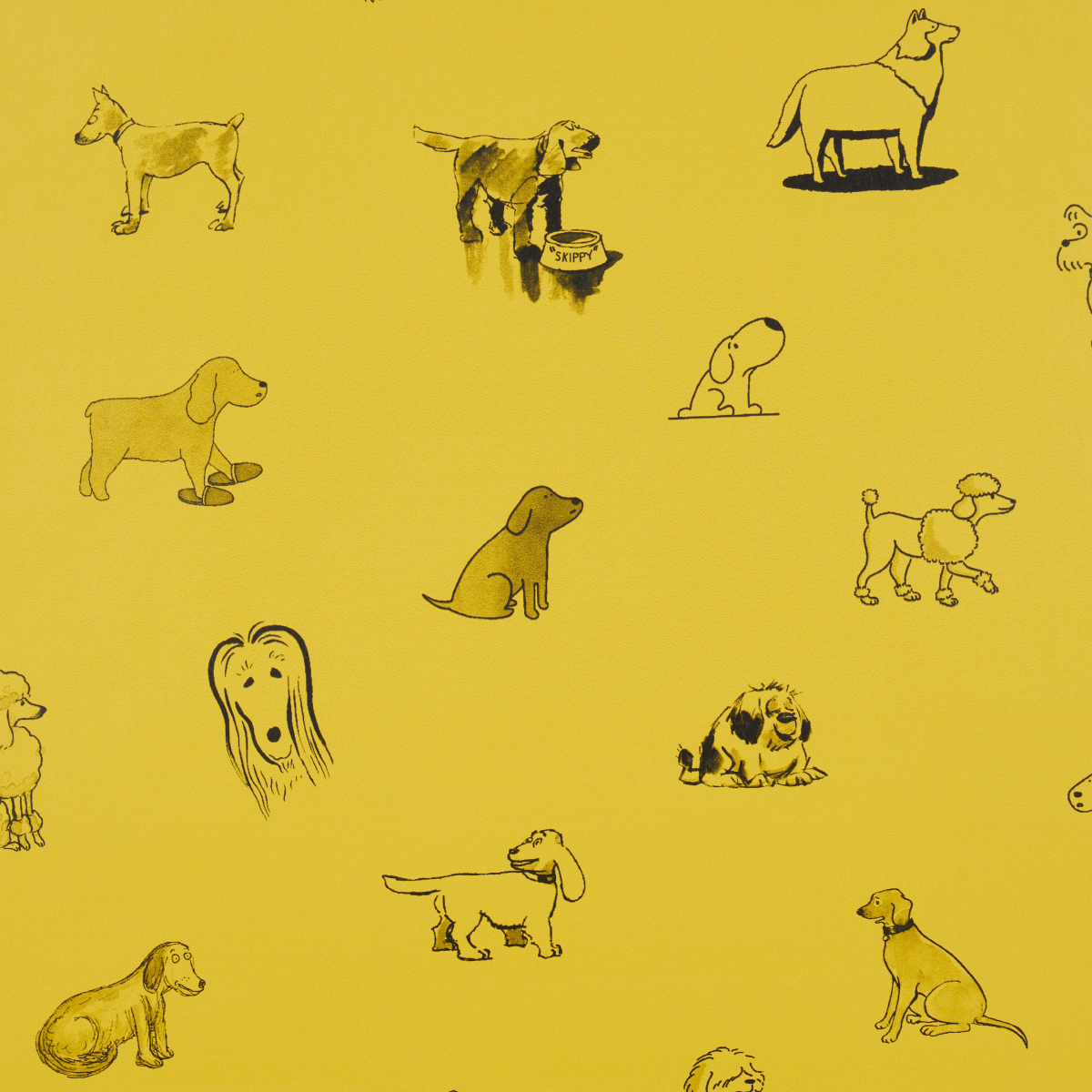 Good Dogs Everywhere gallery 2