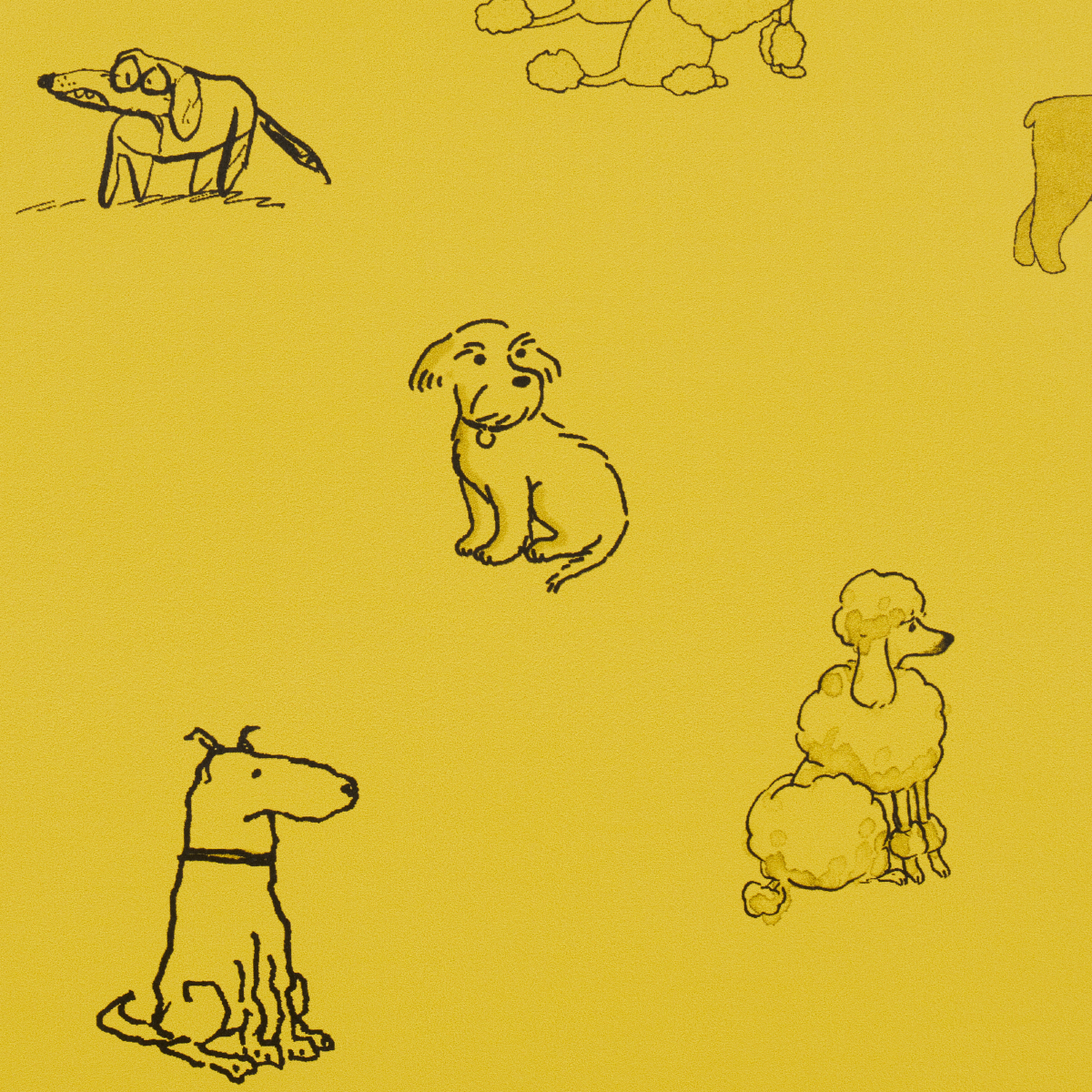 Good Dogs Everywhere gallery 3