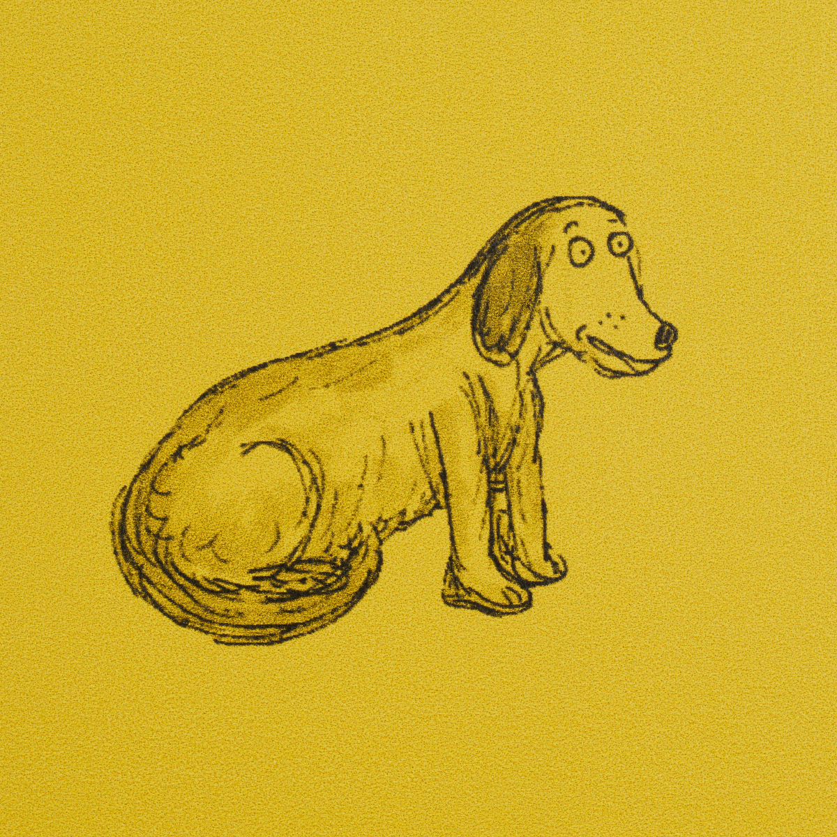 Good Dogs Everywhere gallery 4