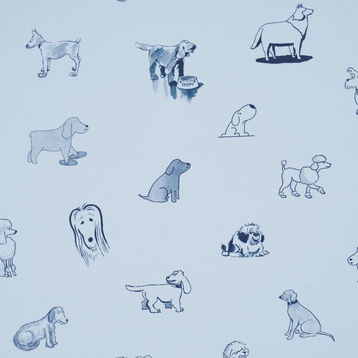Good Dogs Everywhere gallery 2