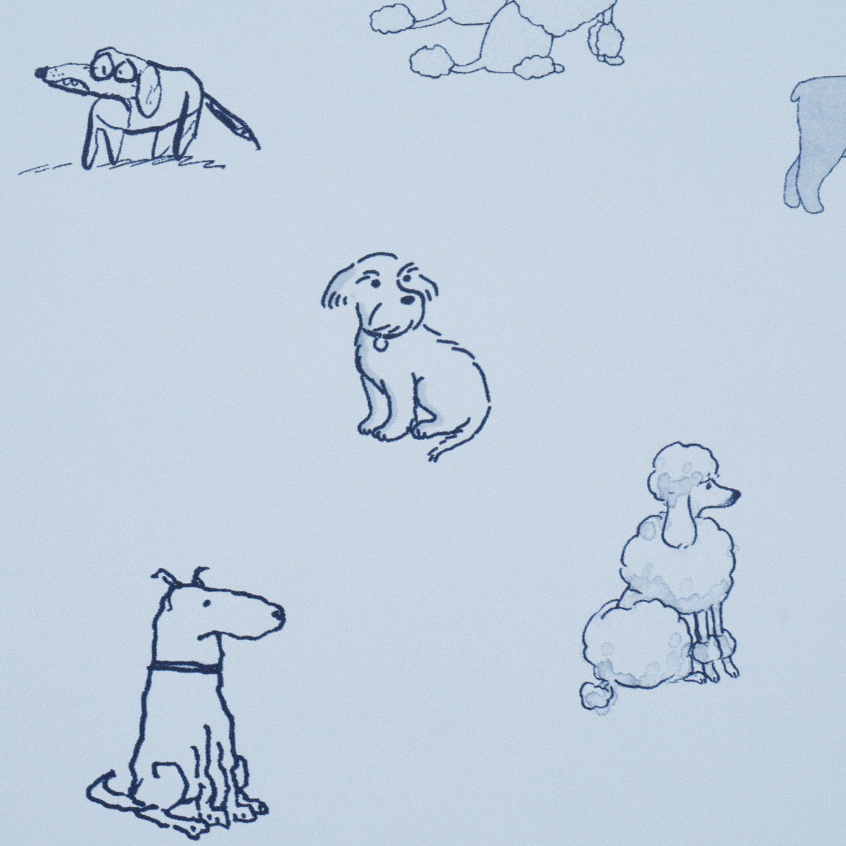 Good Dogs Everywhere gallery 3