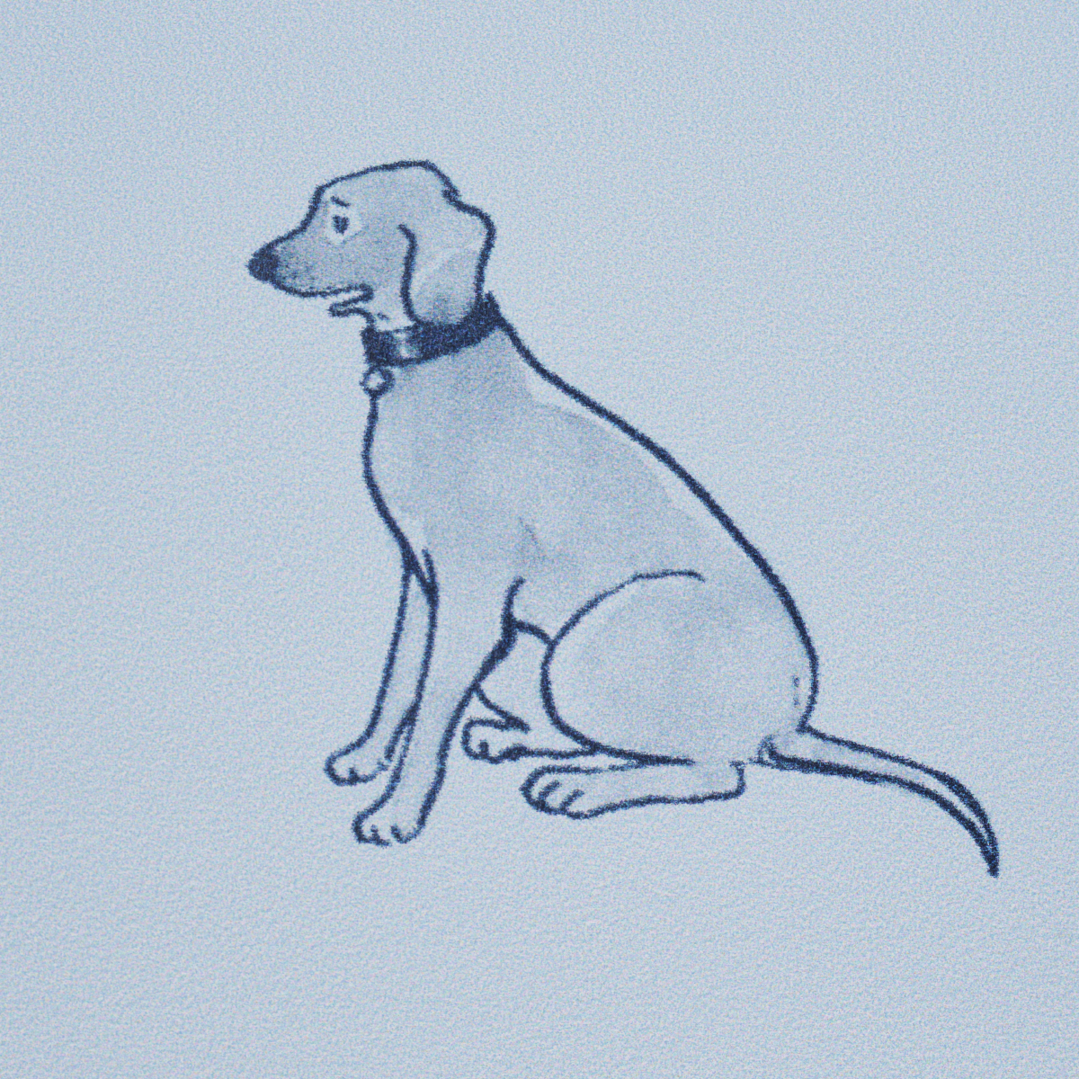 Good Dogs Everywhere gallery 5