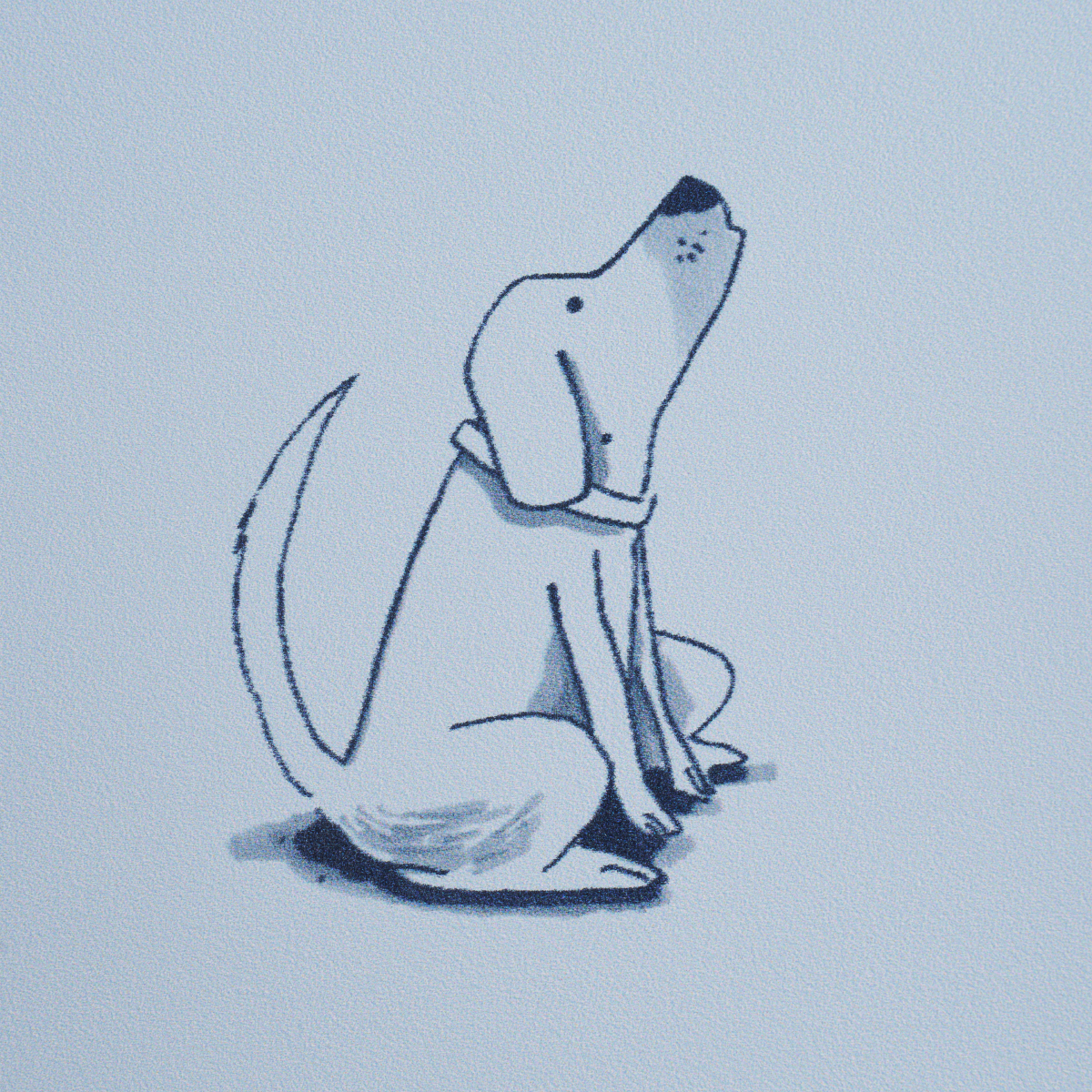 Good Dogs Everywhere gallery 6
