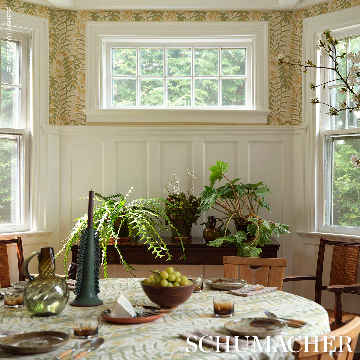 ASHBEE BOTANICAL gallery 6