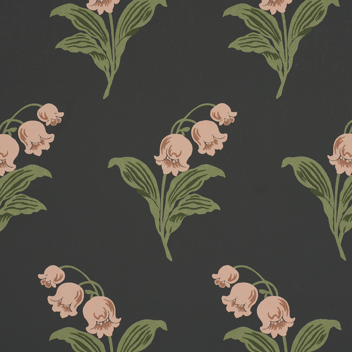 LILY OF THE VALLEY gallery 2
