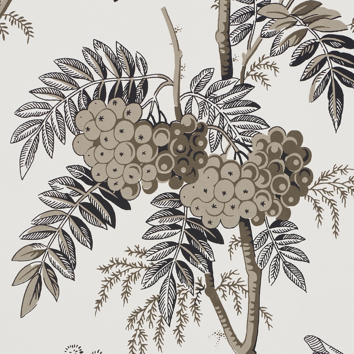 Brantwood Vine gallery 3