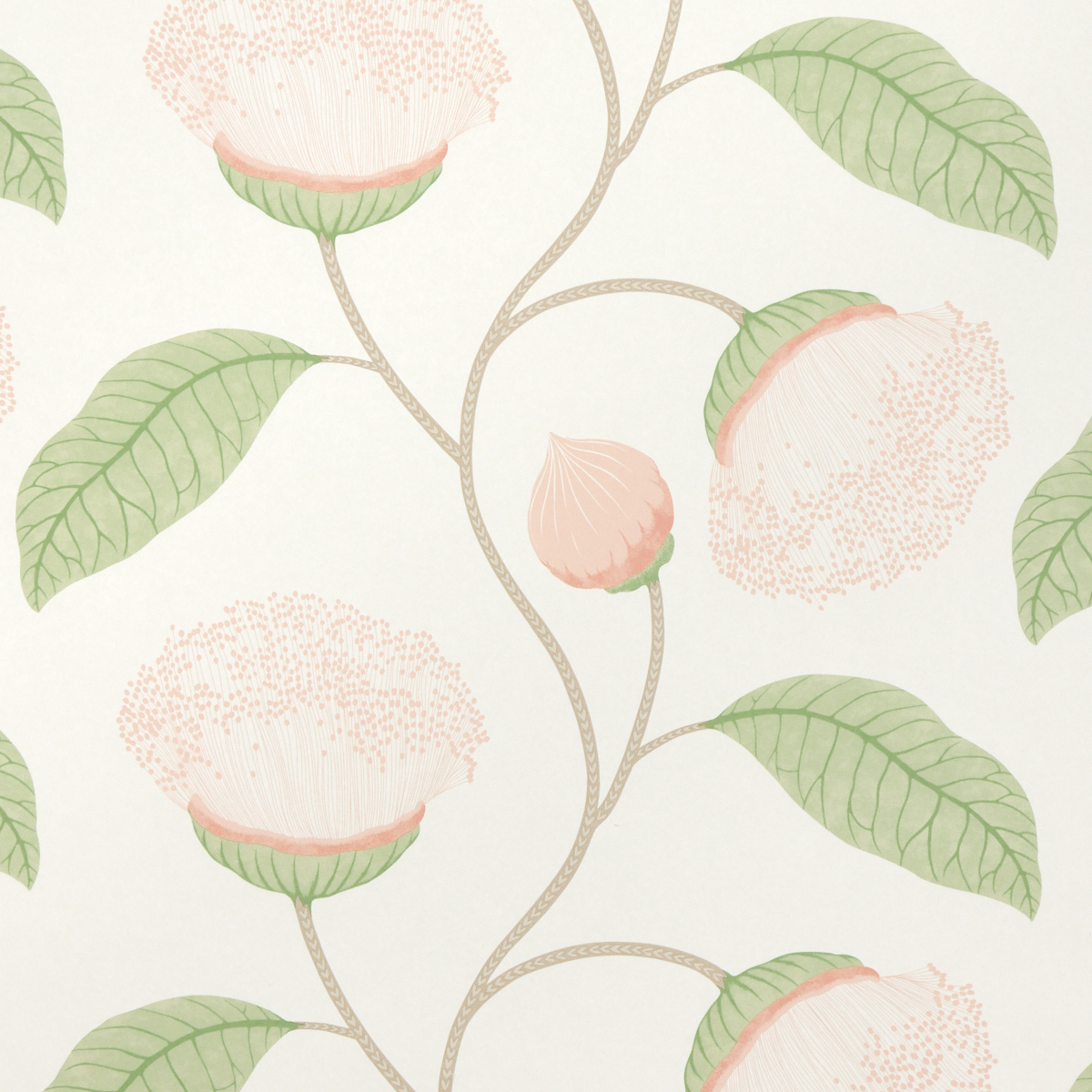 BLUSH