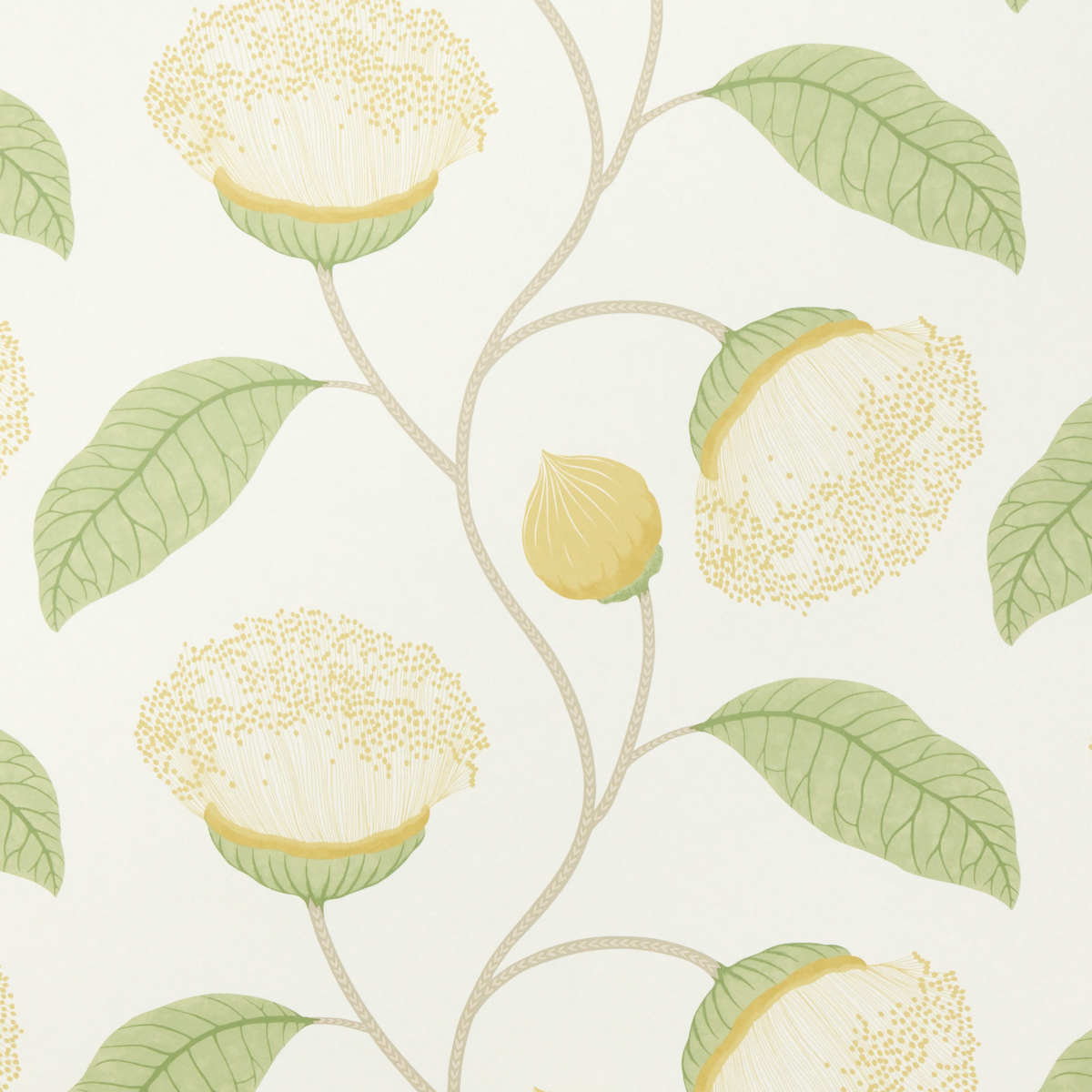 CITRUS