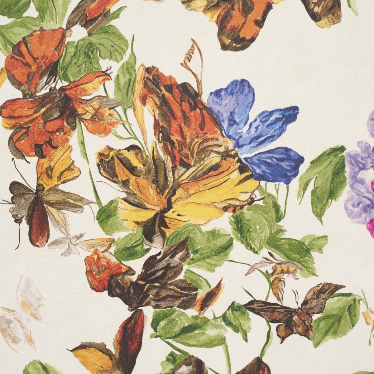 Pyne Butterfly gallery 2