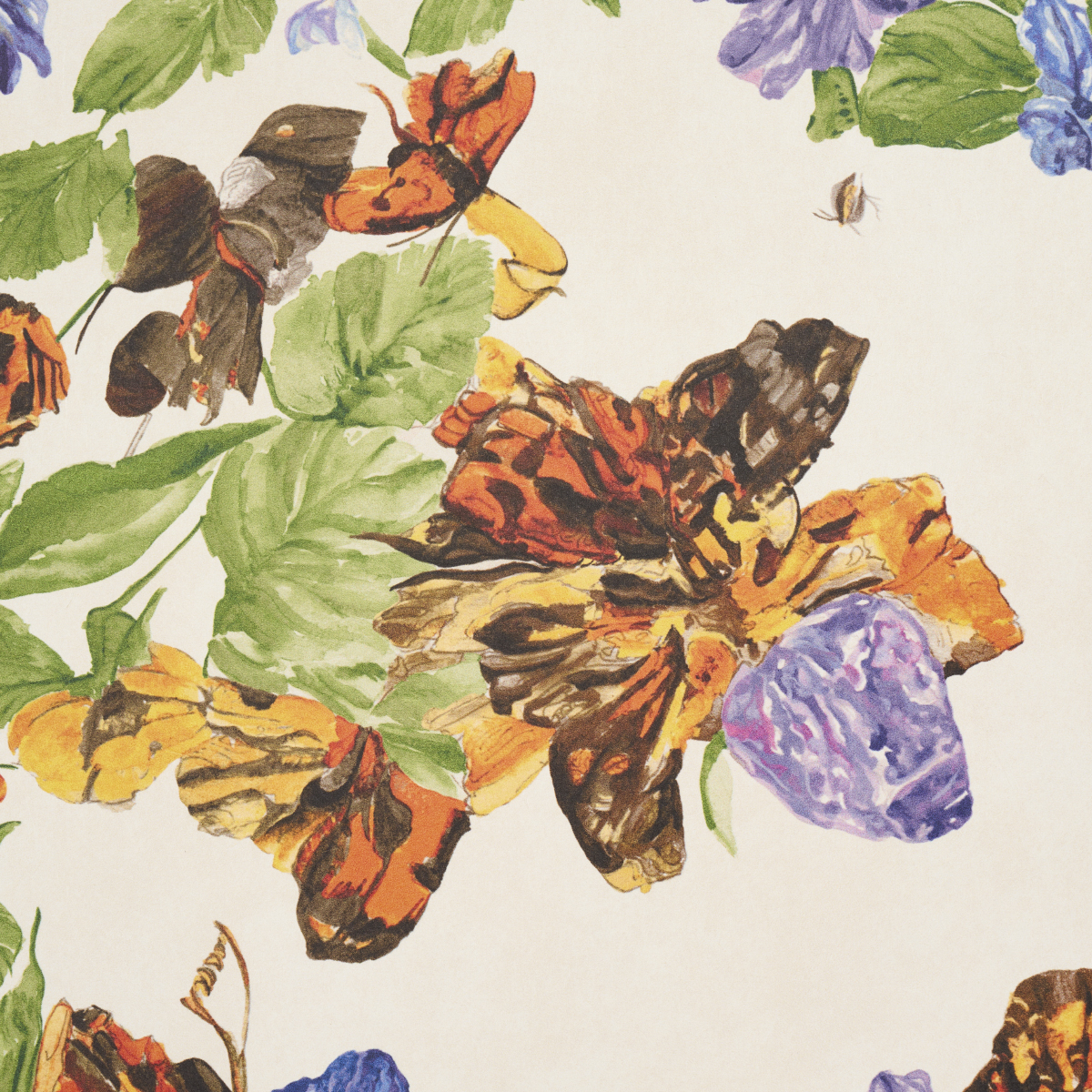 Pyne Butterfly gallery 3
