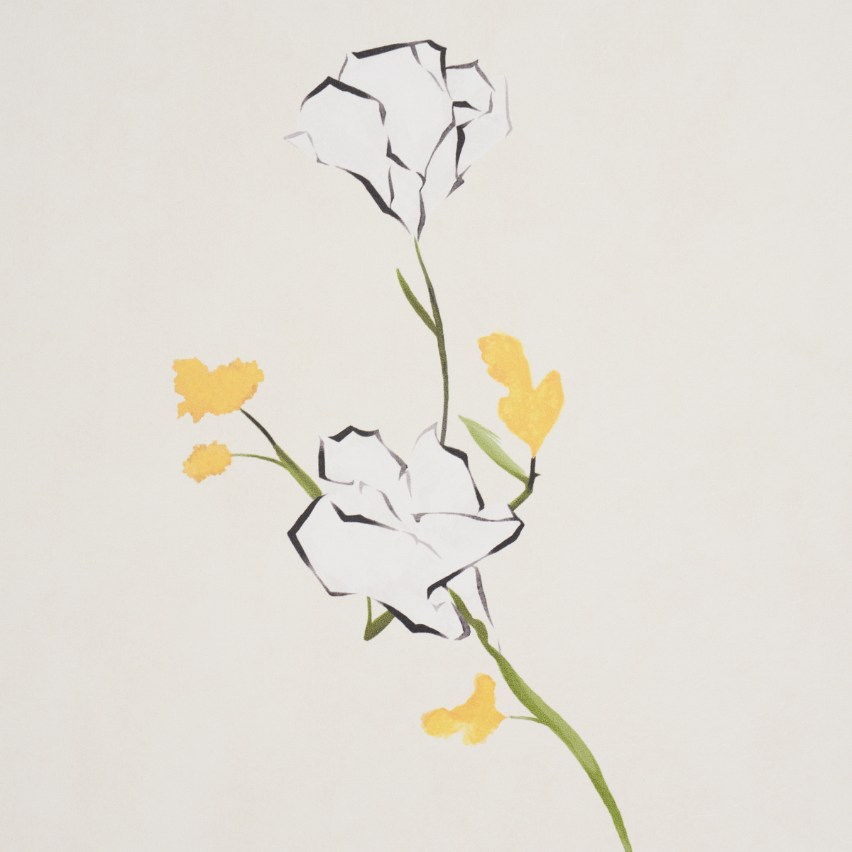 Alex's Floral gallery 3