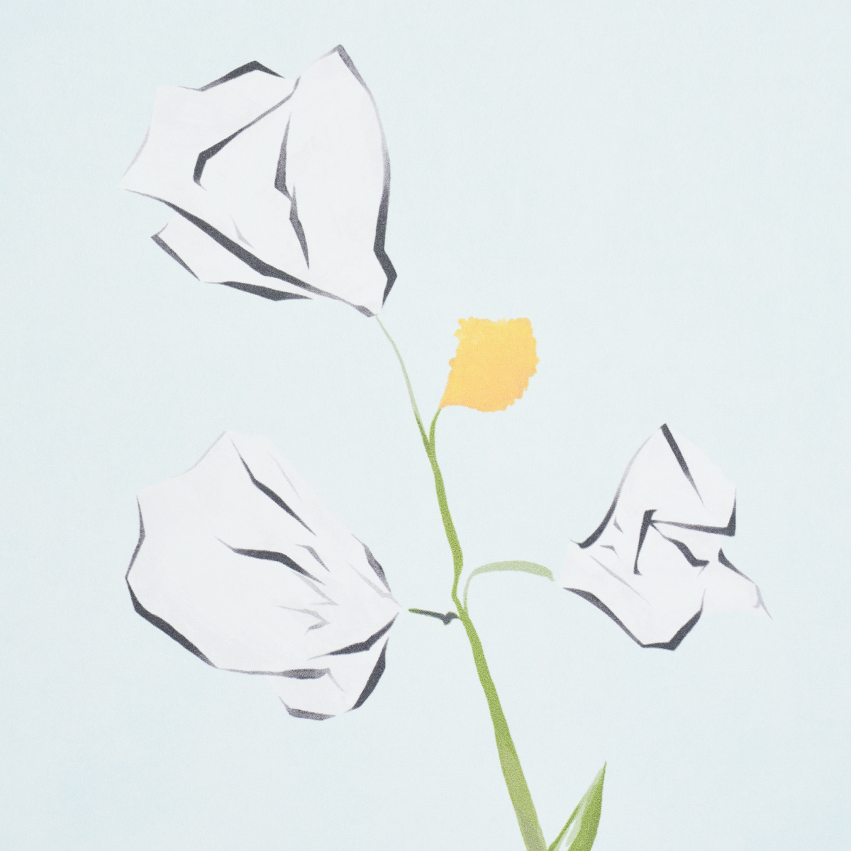Alex's Floral gallery 3