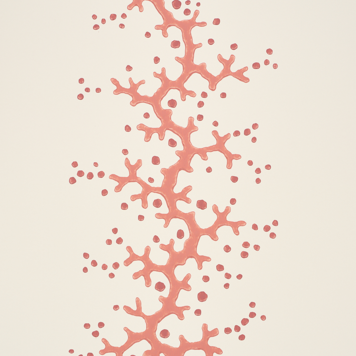 Coral Stripe gallery 2