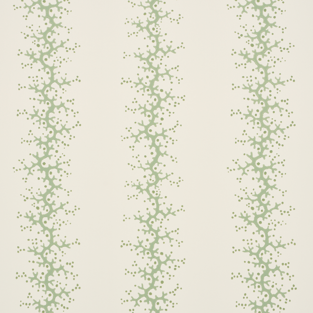 Coral Stripe — GREEN