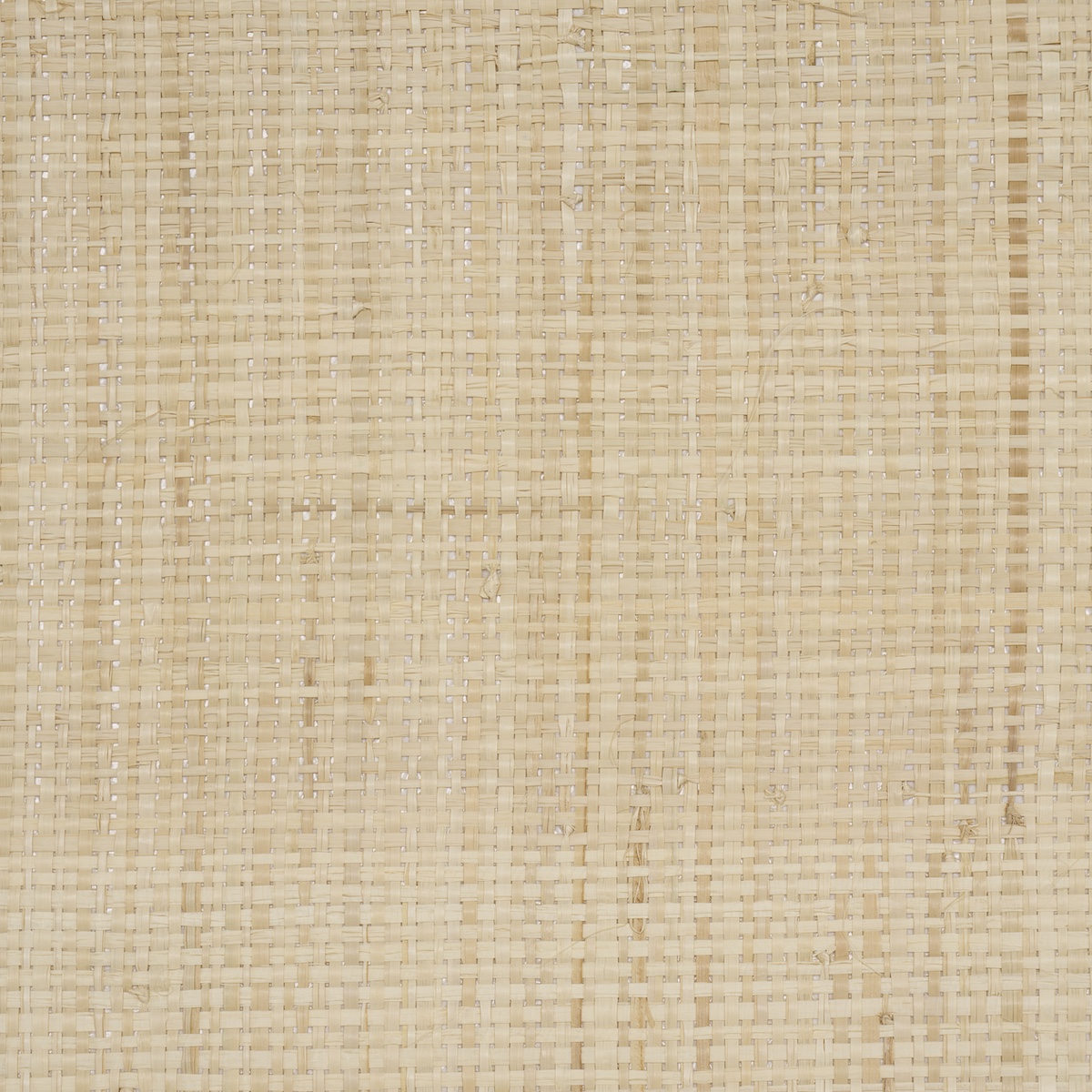 BLONDE RAFFIA gallery 2