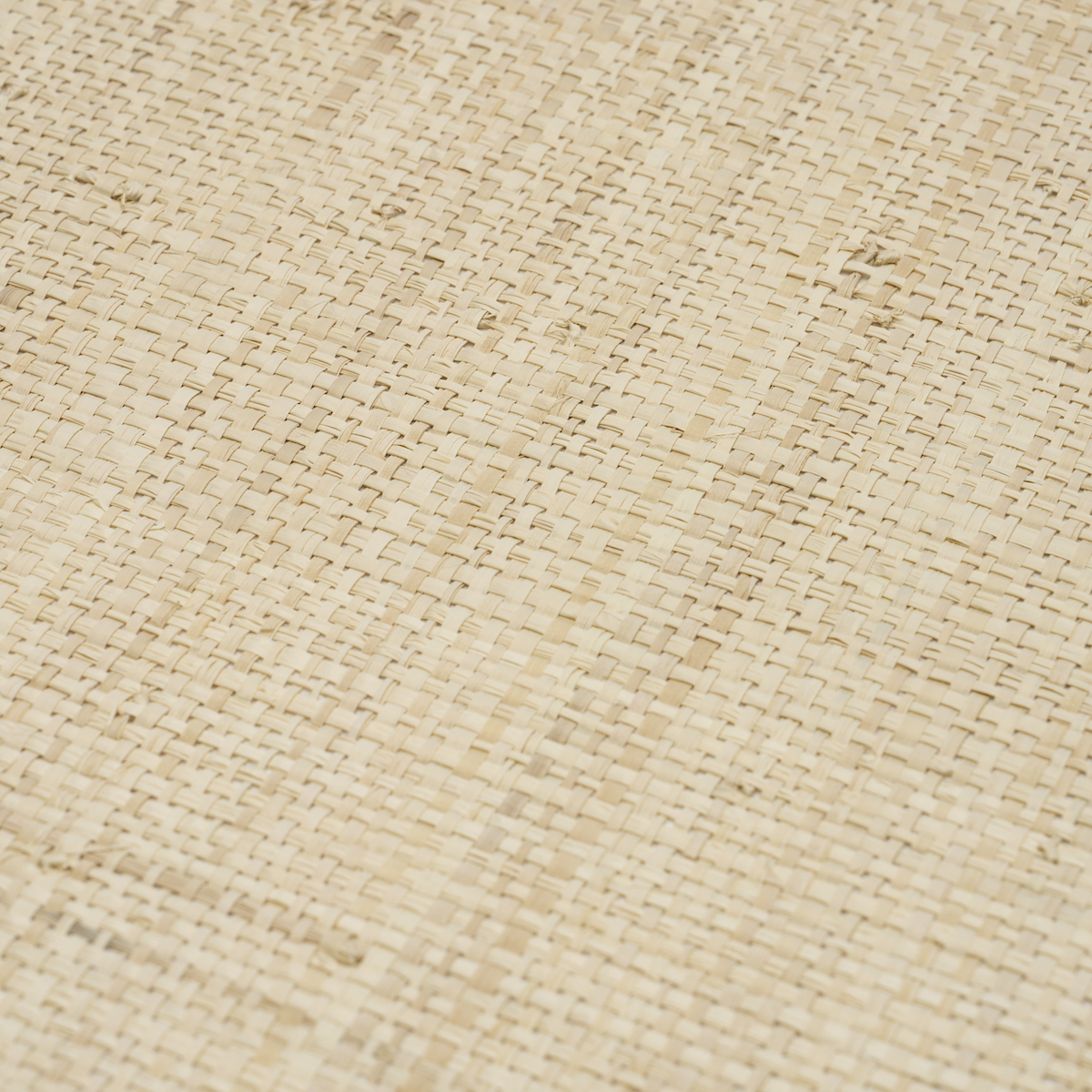 BLONDE RAFFIA gallery 3